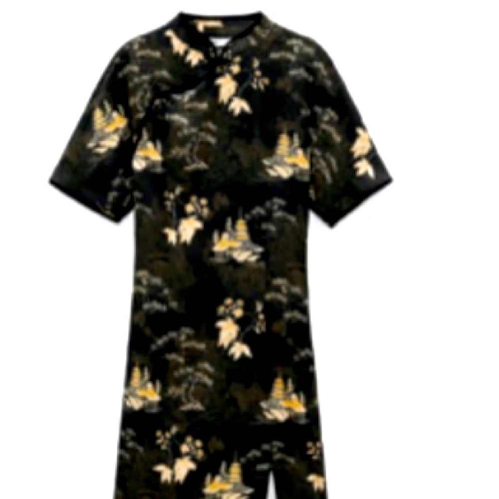 Zara printed frog button dress black